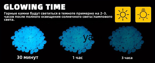 1781067293770.jpg