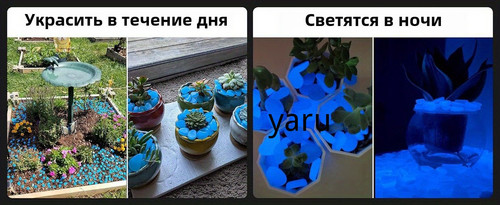 1781067293770.jpg