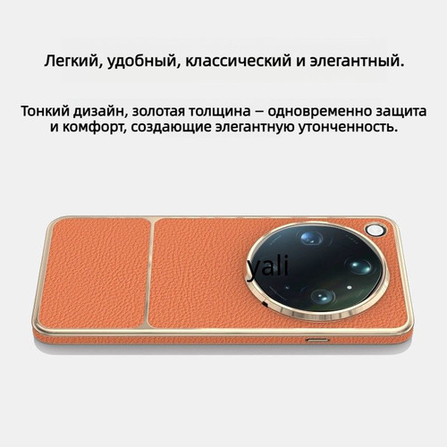 1781067875113.jpg