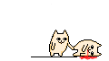 221991.gif