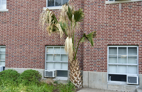 IMG 5608.jpg
