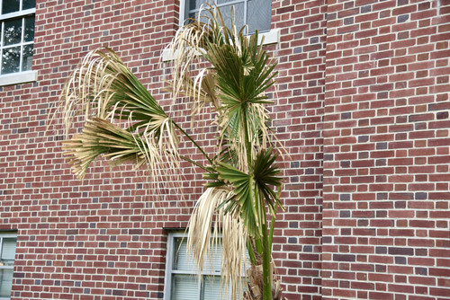 IMG 5606.jpg