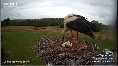 MWSnap373.jpg