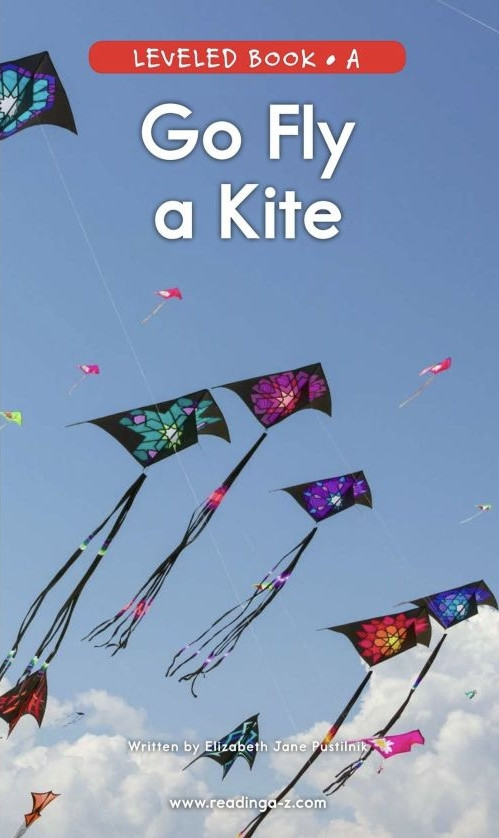 go fly a kite.jpg