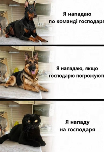 hNnKARfURL A38TVzHz Nv4DRnRkbGmX0fkRrc1MTOC4CxbDlTWoZzyDqI3nCL1nMizUC09FJATXxQZLwUT8srCJsS6TBf09muXs.jpg