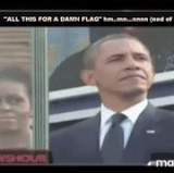 bigmikeflag.gif
