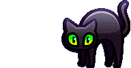 кот3.gif