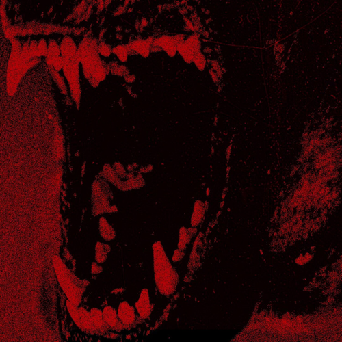f6b878efb304.png