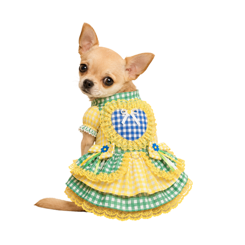 Chihuahua TAM 0.png