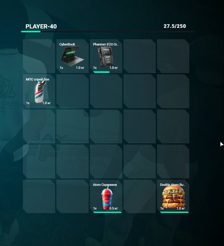 FiveM GTAProcess 8gGNgWJmUk.png