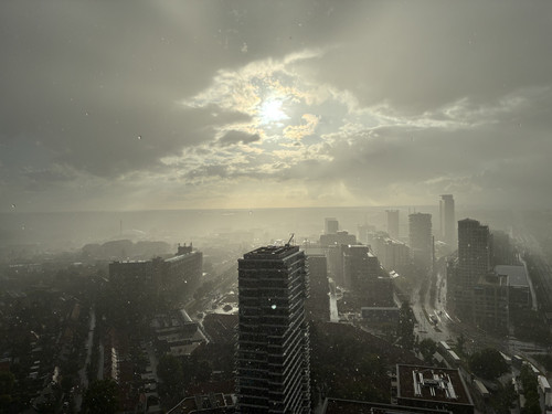 IMG 0019.jpg