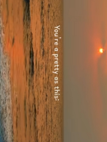 temp.png