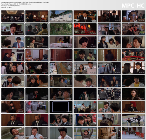 Dragons.Forever.1988.CHINESE.1080p.BluRay.x264.DTS FGT.mkv thumbs.png