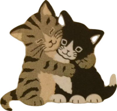 IMG 9567.png