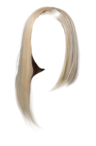 IMG 6035.png