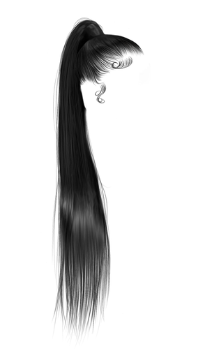 IMG 8798.png