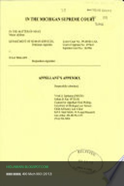 Обложка книги «Дело Мэйса, 490 Mich 993 (2012)» - автор неизвестен