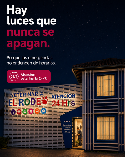 CONTENIDO VETERINARIA EL RODEO (9).png