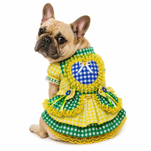 Bulldog Francês TAM 10.png