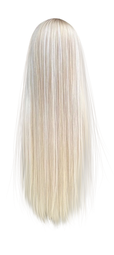IMG 0823.png