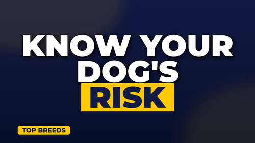 thumb dog breeds with highest insurance rates landscape.png