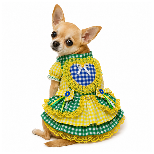 Chihuahua TAM 2.png