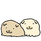 IMG 6344.gif