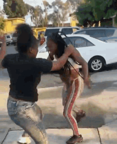 fighting braids.gif