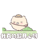 IMG 6388.gif