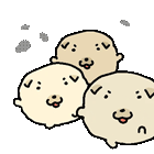 IMG 6349.gif