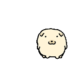 IMG 6346.gif