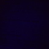 temp.png