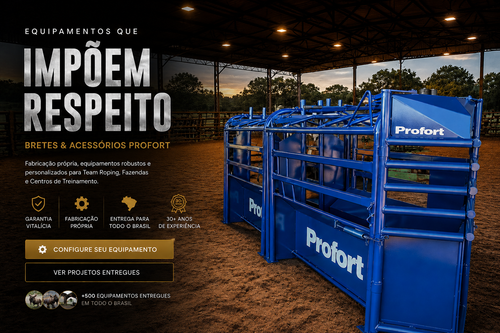 foto de entrada.png