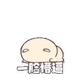 IMG 6383.gif