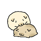 IMG 6347.gif