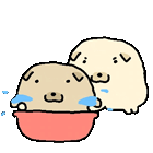 IMG 6348.gif
