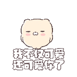 IMG 6385.gif