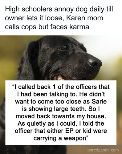dog cause entitled parent kid jail sharing.jpg