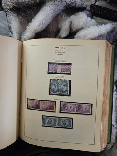 23e497069508.jpg