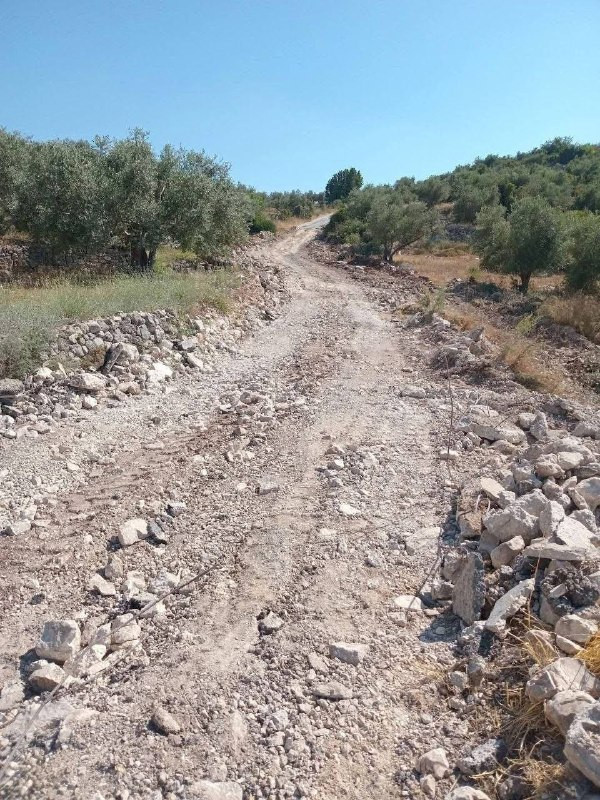 قامت قوات الاحتلال قبل قليل بتجريف شارع عزبة أبو خميش شرق مدينة طولكرم....