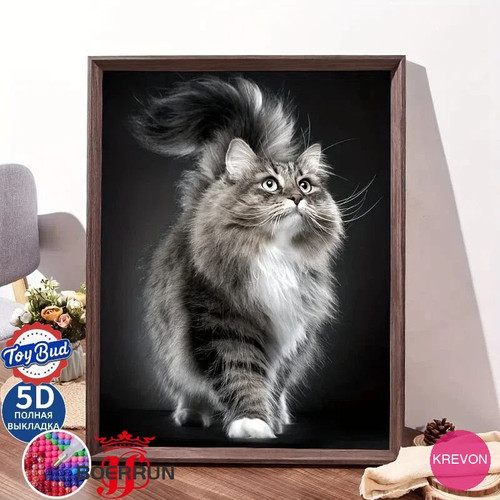 aed70d51d296.jpg