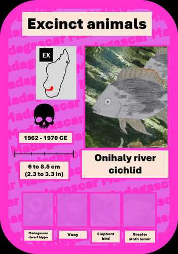 Cinquet.jpg