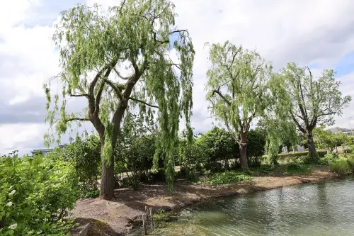 be76014ac234.webp