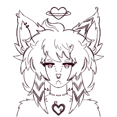 IMG 2371.png