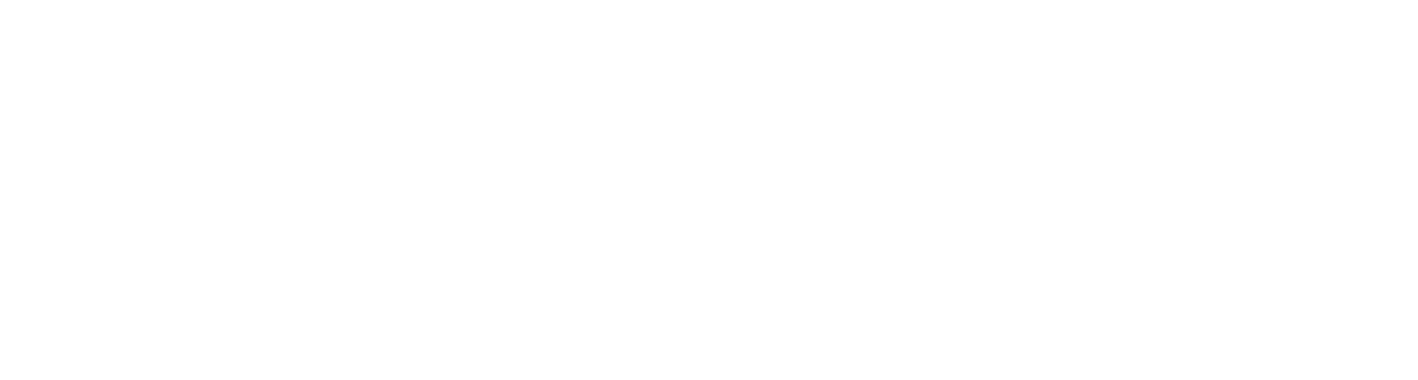 Anthony Veer logo