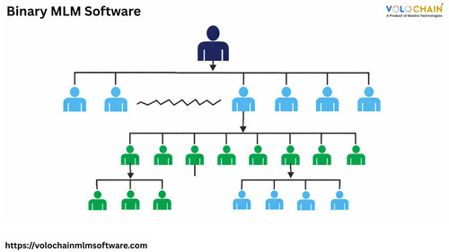 Binary MLM Software for Efficient Network Management.jpg