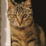 pc 68175eafbee9 user1 528105c3.png