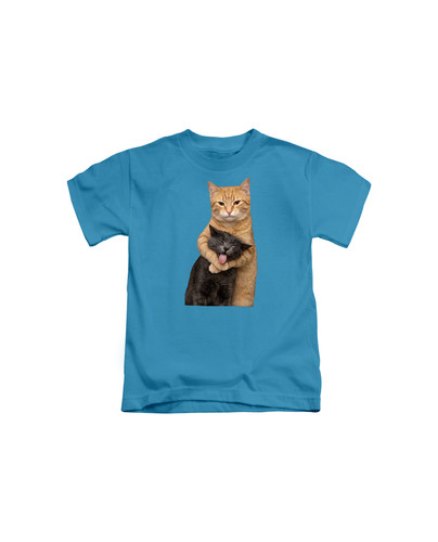 d53 two silly cats+Sapphire.jpg