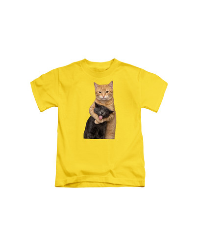 d53 two silly cats+Yellow.jpg