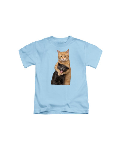 d53 two silly cats+Light blue.jpg